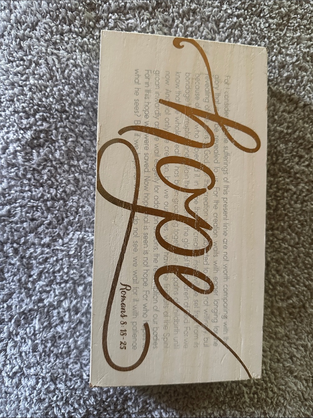 Home Wall Decor "More" Script Sign in White and Gold